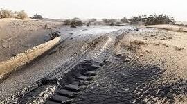 مدیریت آب در دوران تشنگی؛ از آبیاری قطره‌ای تا مالچ‌کشی زیر نایلونی