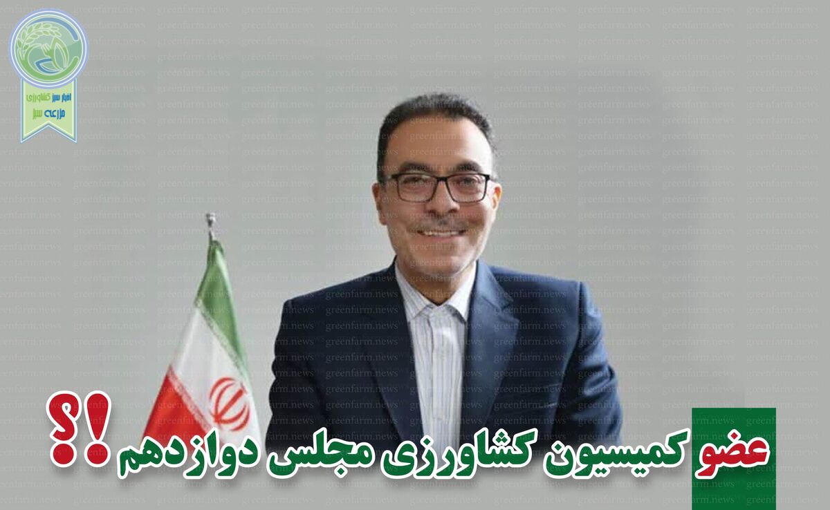 نادرقلی ابراهیمی با بیش از ۳۹ هزار راهی بهارستان شد

