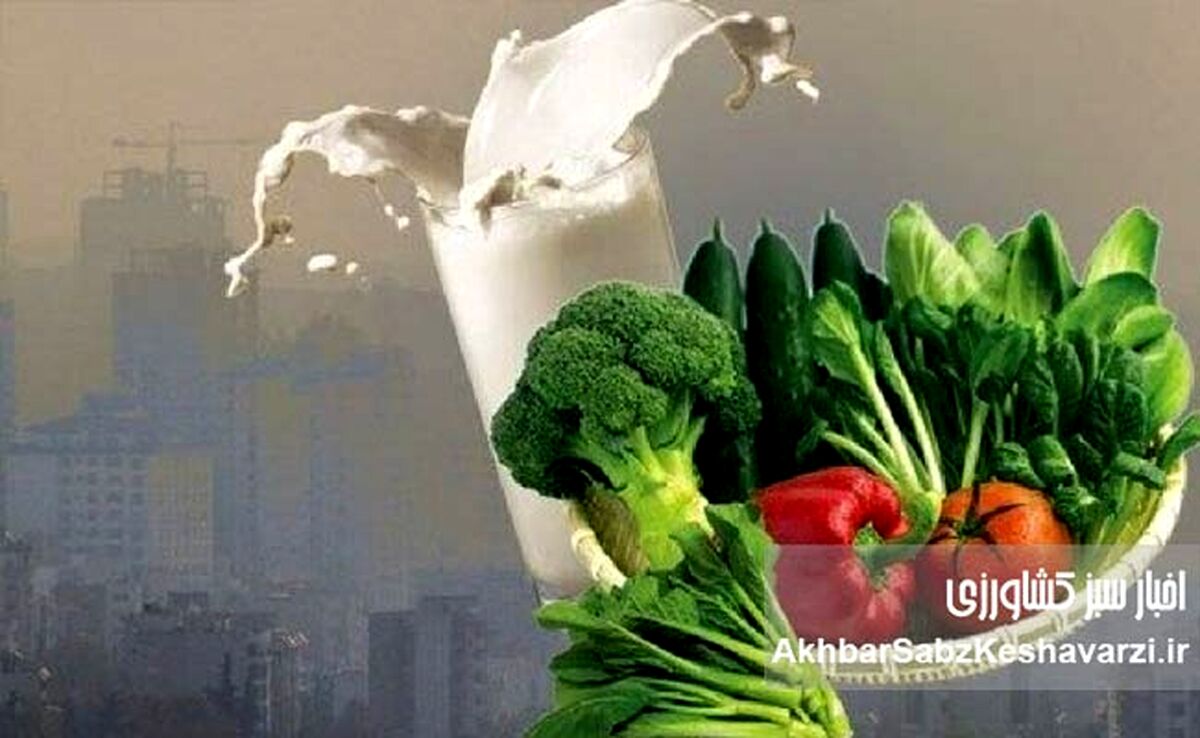 آلودگی هوا امانتان را بریده؟ با این خوراکی‌ها خودتان را نجات دهید!