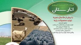 راز پایداری تولید در انارستان؛ جهش کشاورزی و دامپروری ایران