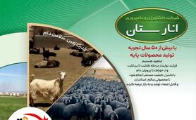راز پایداری تولید در انارستان؛ جهش کشاورزی و دامپروری ایران