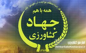 آدرس غلط ندهیم/ با مسبب اصلی برخورد شود