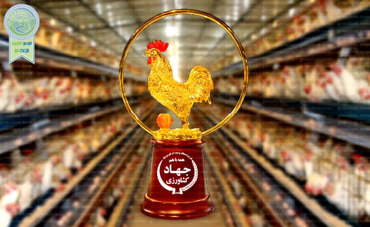 افزایش صفر درصدی قیمت مرغ پس از یک سال

