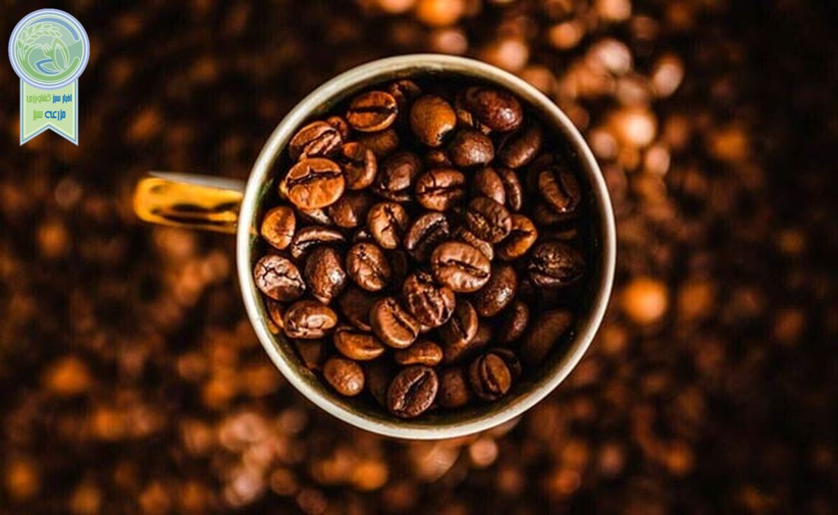 قهوه و خطر بیماری قلبی

