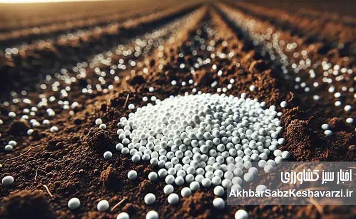 کشاورزی در بن‌بست گرانی: افزایش ناگهانی قیمت کود اوره و زنگ خطر برای امنیت غذایی