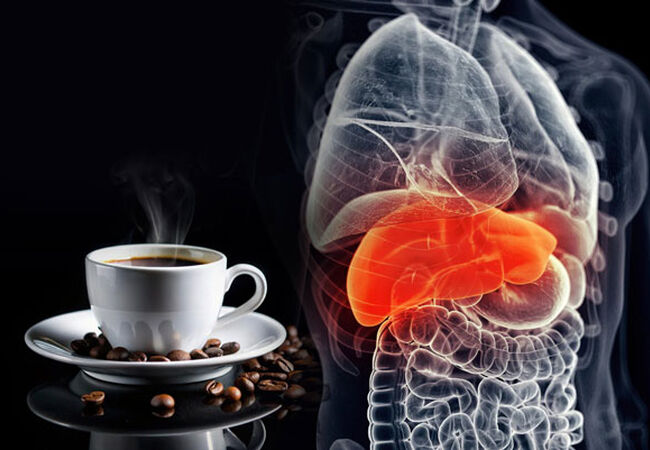 تاثیرات قهوه بر سلامت کبد و کلیه؛ نگاهی بر مطالعات بالینی