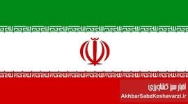 رهبر جدید ایران: کی و چگونه معرفی می‌شود؟
