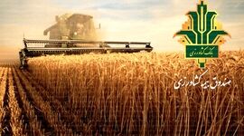 صندوق بیمه محصولات کشاورزی: ۱۲ همت اعتبار برای حمایت از کشاورزان در راه است