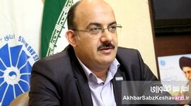 صنعت طیور ایران در بحران؛ سیاست‌های دولت مرهم است یا نمک بر زخم؟