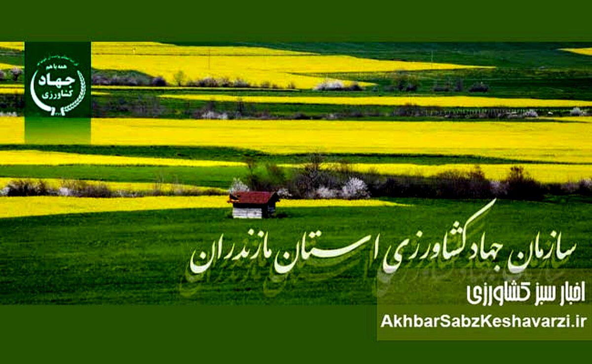 رئیس جدید سازمان جهاد کشاورزی مازندران معرفی شد