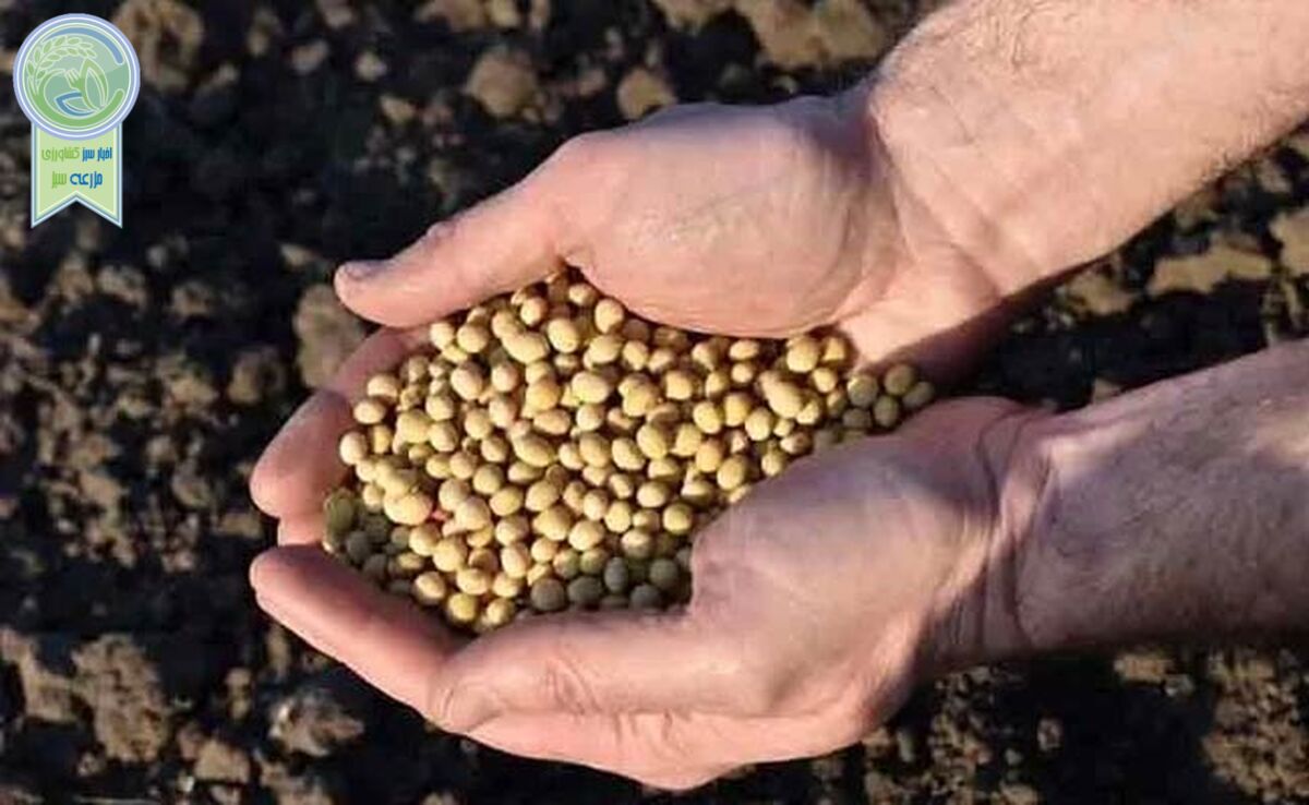 قیمت نهاده های دامی و محصولات کشاورزی ۱۷ خرداد ۱۴۰۳+ جدول
