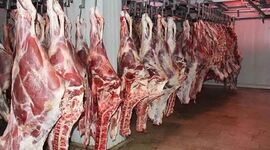 عوارض واردات گوشت قرمز اعلام شد | نرخ جدید به ازای هر کیلو ۱۱۰۰۰ ریال

