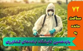 استقبال از نمایشگاه جامع کشاورزی از پارسال هم بیشتر است

