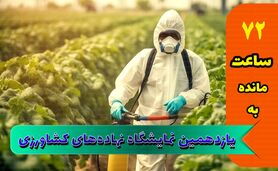 استقبال از نمایشگاه جامع کشاورزی از پارسال هم بیشتر است

