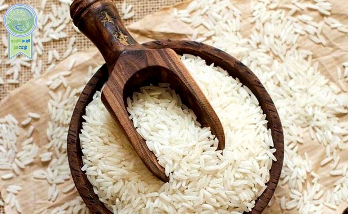 کاهش واردات ۱۵ درصدی برنج
