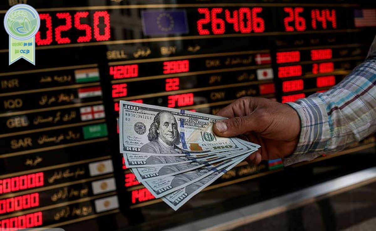 پیشنهادی برای مدیریت بازار ارز

