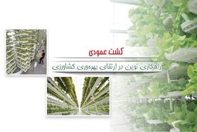 کشت عمودی راهکاری نوین در ارتقای بهره‌وری کشاورزی