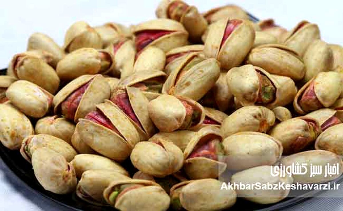 خروج پسته ایران از لیست سیاه اروپا