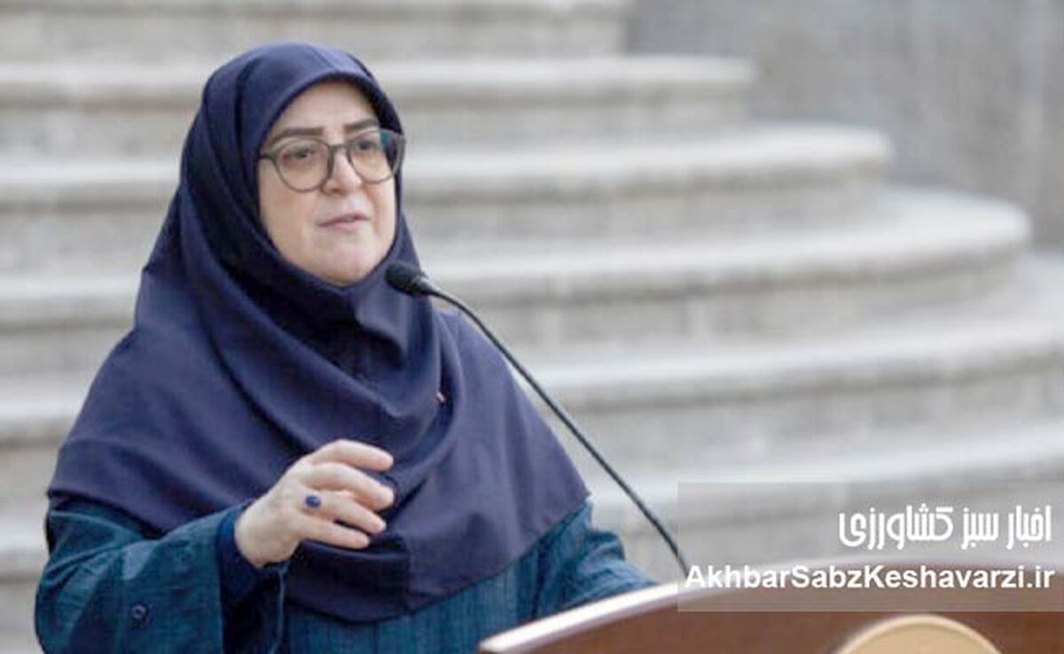 جمع‌آوری دیش ماهواره؟ واکنش مهاجرانی: غیرقانونی و تهدیدی است!