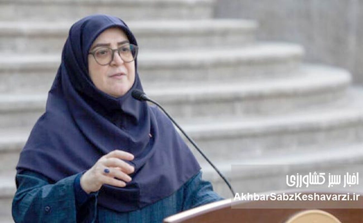 جمع‌آوری دیش ماهواره؟ واکنش مهاجرانی: غیرقانونی و تهدیدی است!