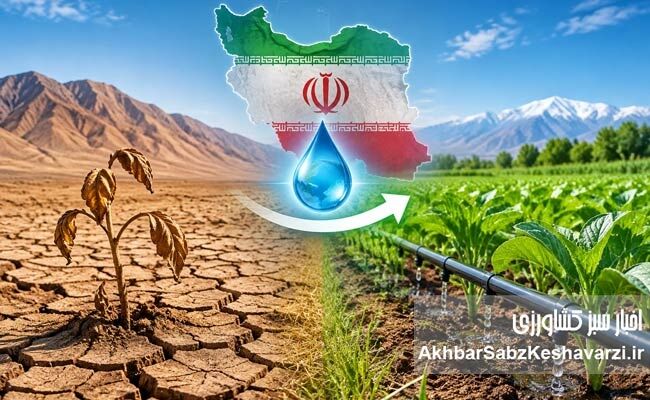 نجات کشاورزی ایران با تغییر الگوی کشت؛ کدام محصول در کدام اقلیم؟+ایتفوگرافی 


