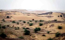 مالچ‌نفتی خوزستان را بار دیگر سیاه‌پوش کرد

