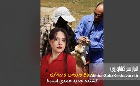 مقدسی: واردات گوشت آلوده، تب برفکی را به ایران آورد؛ دامپروری در بحران+ویدئو