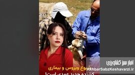 مقدسی: واردات گوشت آلوده، تب برفکی را به ایران آورد؛ دامپروری در بحران+ویدئو