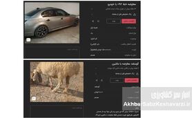 «گوسفند» وارد بازار خودرو شد؛ وقتی قیمت‌ها از پول جلو می‌زنند
