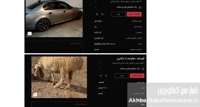 «گوسفند» وارد بازار خودرو شد؛ وقتی قیمت‌ها از پول جلو می‌زنند
