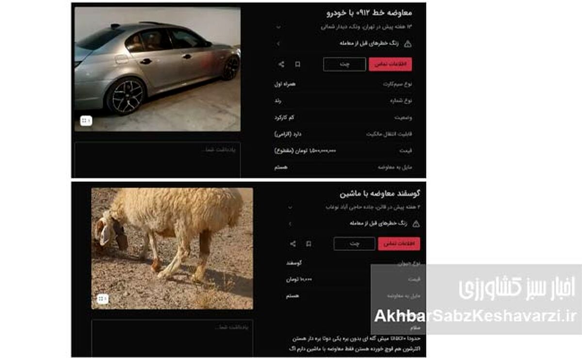 «گوسفند» وارد بازار خودرو شد؛ وقتی قیمت‌ها از پول جلو می‌زنند
