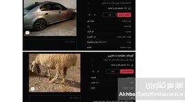 «گوسفند» وارد بازار خودرو شد؛ وقتی قیمت‌ها از پول جلو می‌زنند
