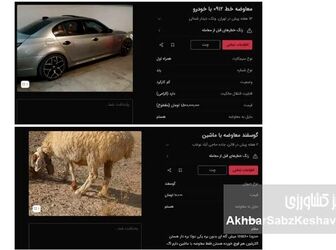 «گوسفند» وارد بازار خودرو شد؛ وقتی قیمت‌ها از پول جلو می‌زنند
