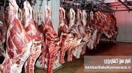 قیمت گوشت گوساله باید ۶۰۰ هزار تومان باشد/ رئیس انجمن گاوداران از سوداگری دلالان می‌گوید!