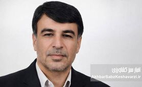 هشدار فعالان بخش بذر: قیمت تضمینی گندم با هزینه تولید هم‌خوانی ندارد