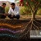 استراتژی اصلاح pH خاک و آزادسازی عناصر بلوکه شده؛ راهکار علمی برای نجات باغ‌های انار