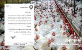 اعتراض گسترده مرغداران به قوانین جدید؛ دامپزشکان و مهندسان دامپروری فقط بار مالی اضافه هستند+ نامه