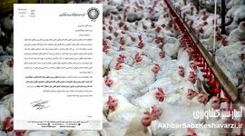 اعتراض گسترده مرغداران به قوانین جدید؛ دامپزشکان و مهندسان دامپروری فقط بار مالی اضافه هستند+ نامه