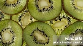کیوی، آلو و آب معدنی؛ راز طبیعی رفع یبوست بدون دارو