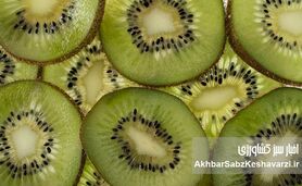 کیوی، آلو و آب معدنی؛ راز طبیعی رفع یبوست بدون دارو