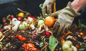 تبدیل زباله های غذایی به خاک حاصلخیز برای رشد پایدار