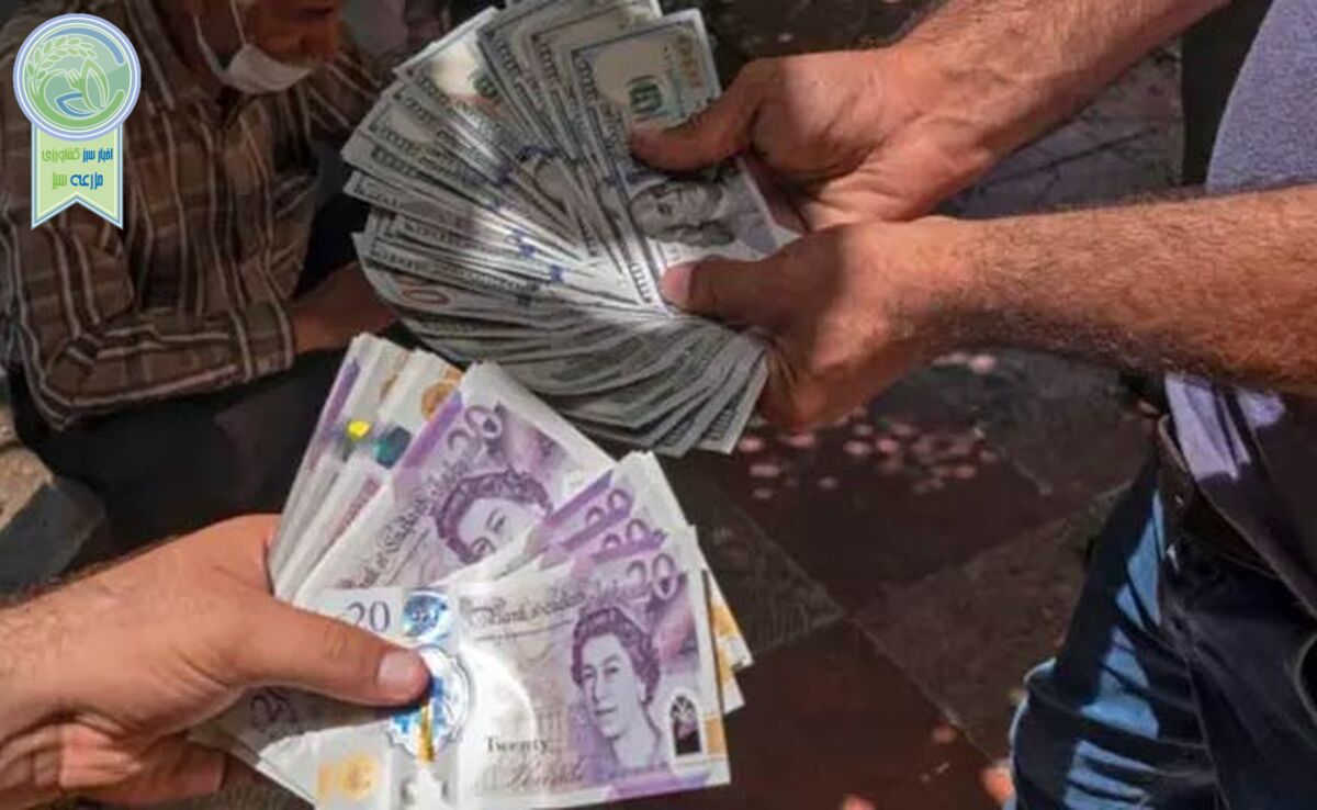 نوسان دلار در مرز حمایت حساس/ پیش‌بینی قیمت دلار امروز ۱۶ فروردین 1404