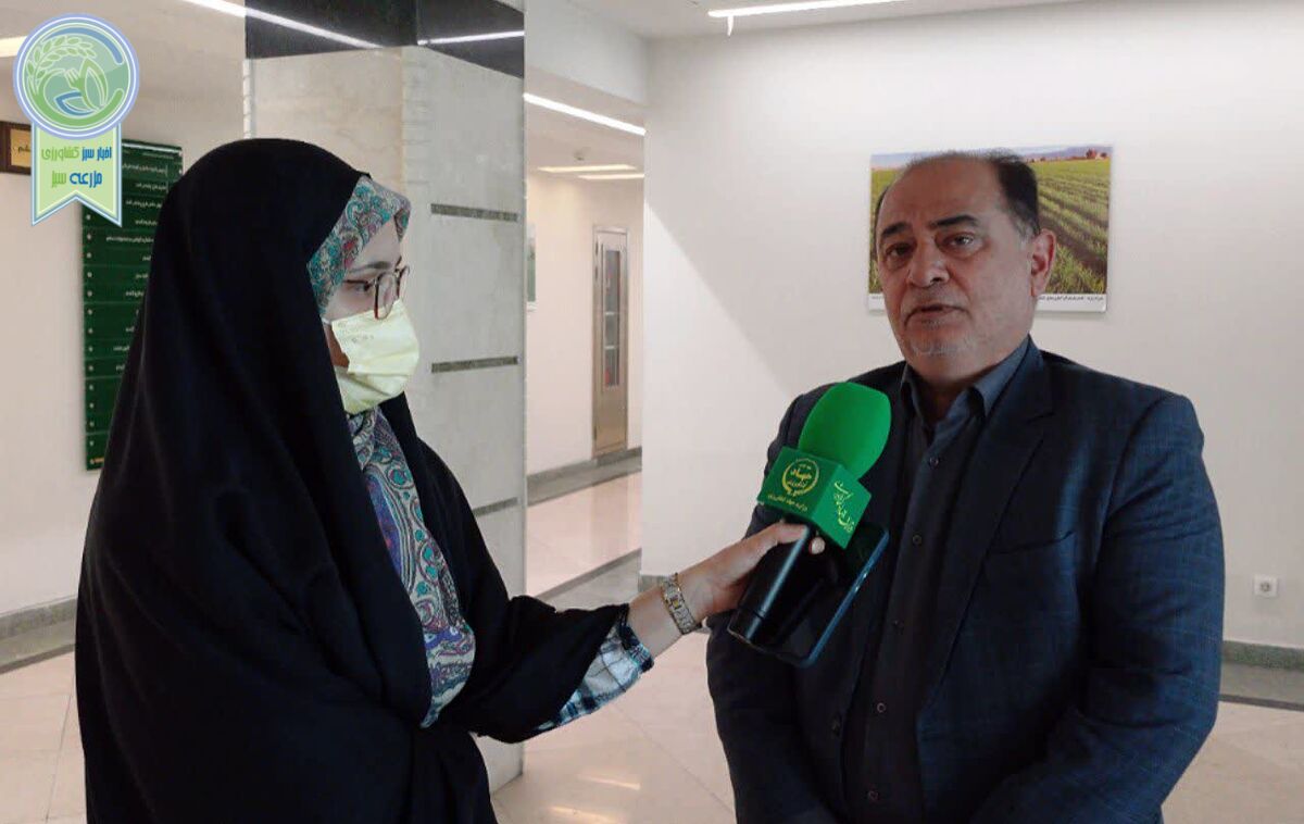 توجه به زمان‌بندی آبیاری و برداشت گندم در مناطق معتدل 

