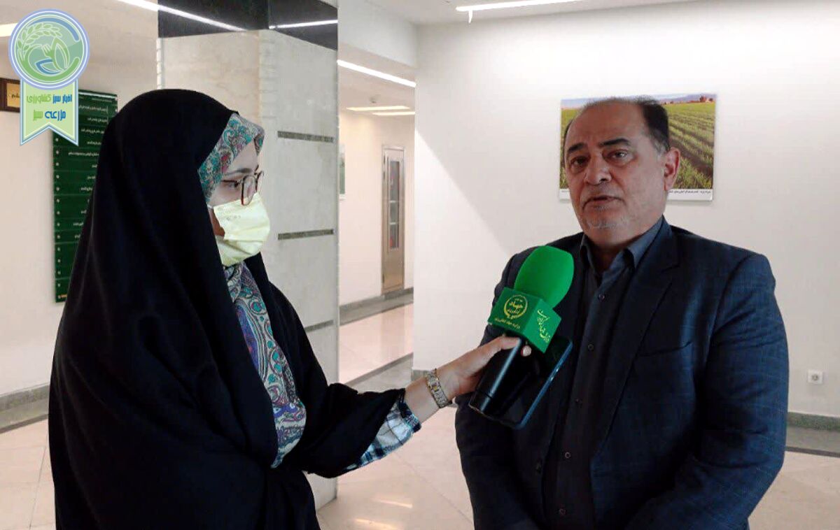 توجه به زمان‌بندی آبیاری و برداشت گندم در مناطق معتدل 

