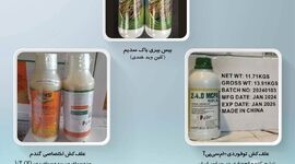 تحولی تازه در تأمین نهاده‌های کشاورزی با پارس نهاده هگمتانه