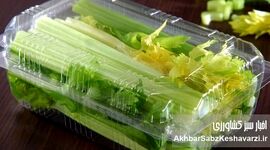 چطور طراوت سبزیجات خرد شده را حفظ کنیم؟
