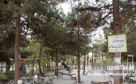 زنگ خطر در ریه سبز تهران؛ پردیسان در خطر خشکیدگی