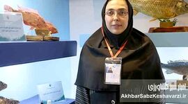 برای نخستین بار در کشور؛ نسل ششم پرورشی ماهی آزاد دریای کاسپین وارد قفس‌های پرورش ماهی شد