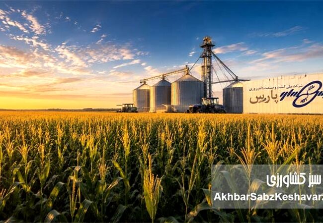 روایتی از پایان یک انتظار فرساینده؛ عبور «زپارس» از بحران ۳۰ ماهه