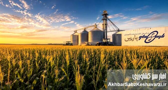 روایتی از پایان یک انتظار فرساینده؛ عبور «زپارس» از بحران ۳۰ ماهه